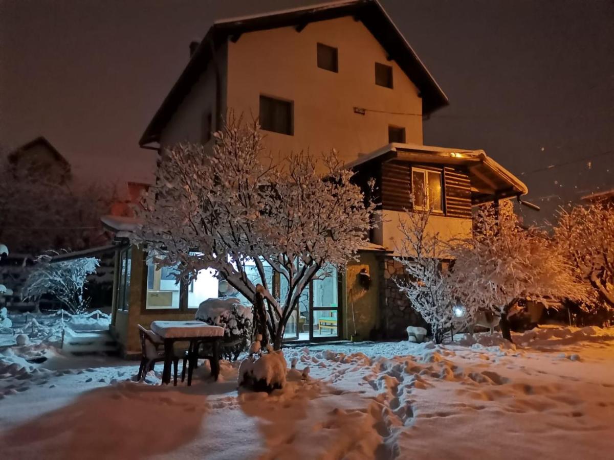 Zoso Home Buşteni エクステリア 写真