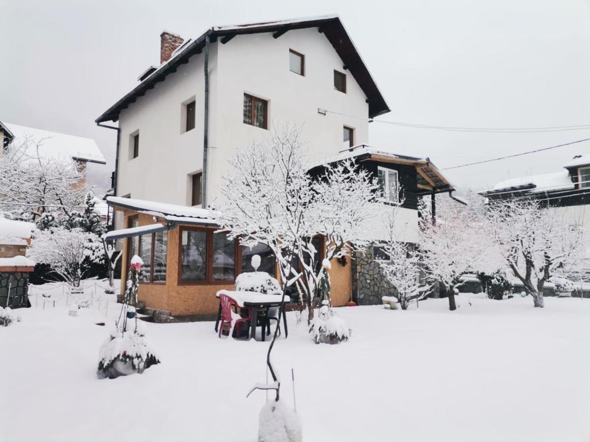 Zoso Home Buşteni エクステリア 写真