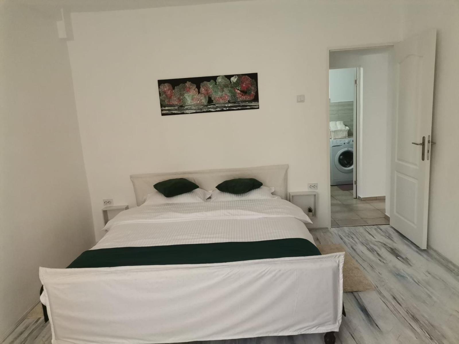 Zoso Home Buşteni エクステリア 写真