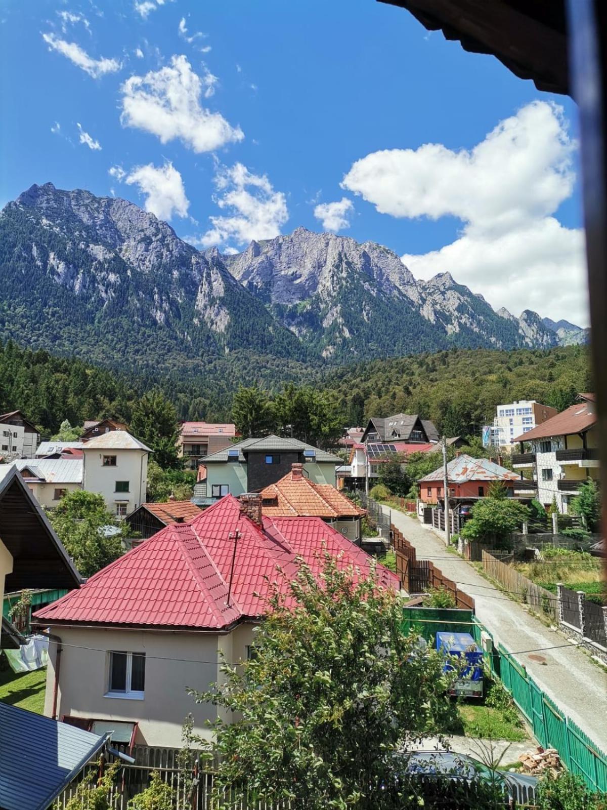 Zoso Home Buşteni エクステリア 写真